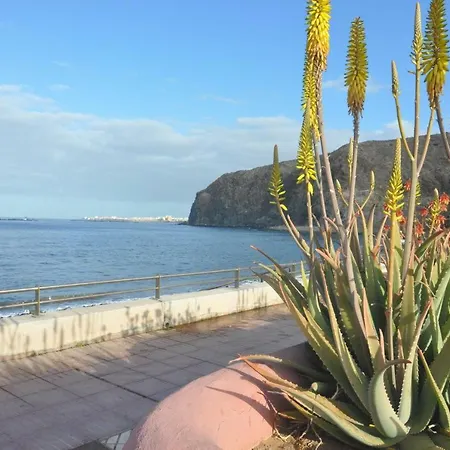 El Mocan Superior Palm-mar